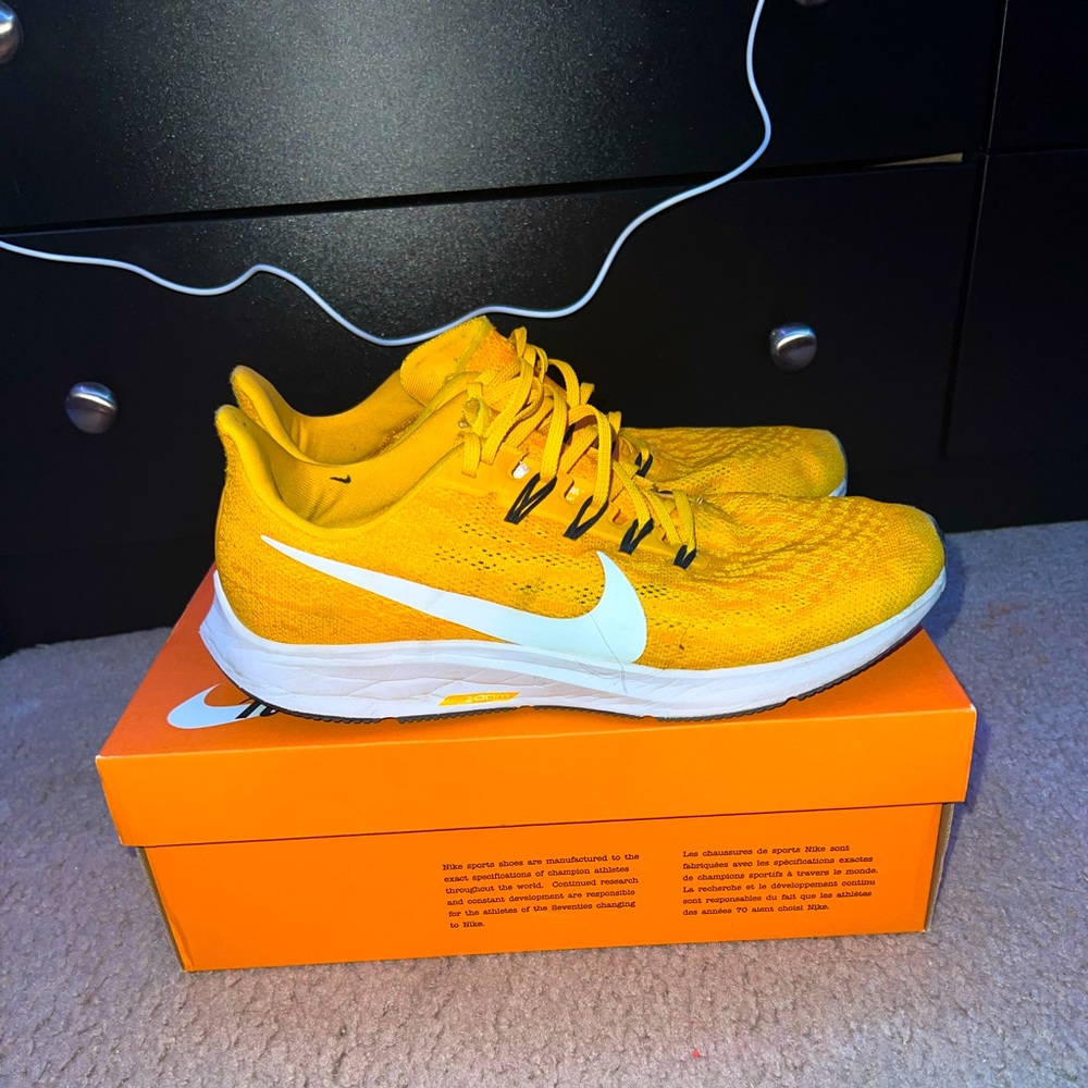 Nike Zoom Pegasus 36 TB size 10.5 lightly worn og box